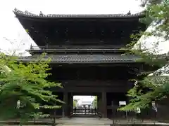 大樹寺（松安院大樹寺）(愛知県)