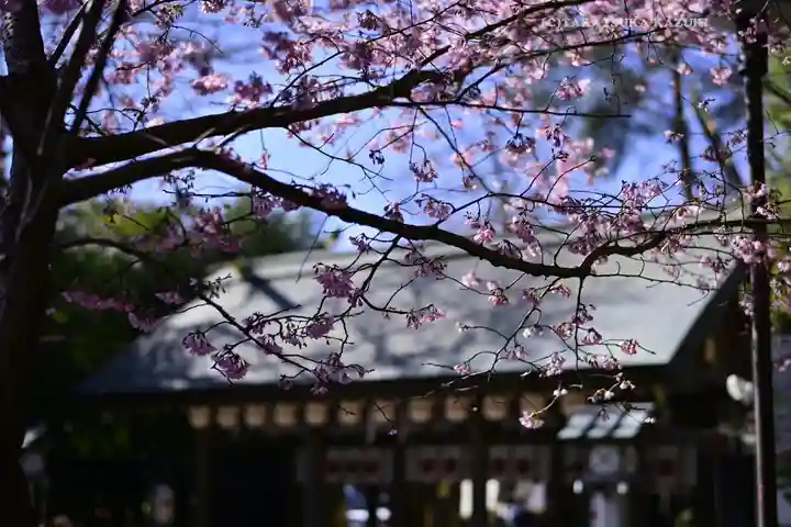 櫻木神社(千葉県)