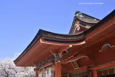富士山本宮浅間大社(静岡県)