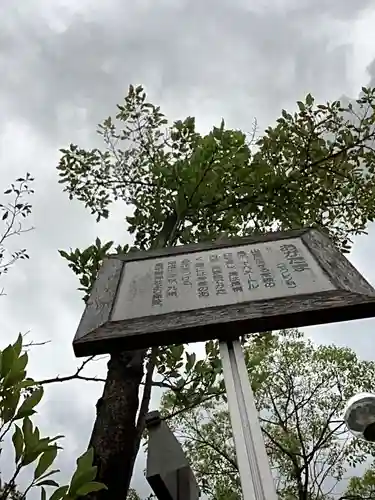 豊藤稲荷神社の自然