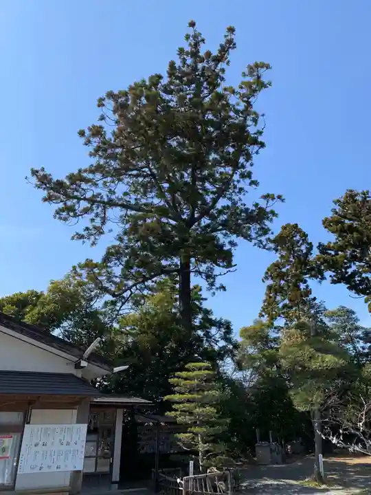 琴平神社の自然