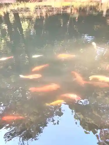 巌島神社(茨城県)