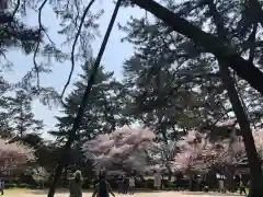 出雲大社の建物その他