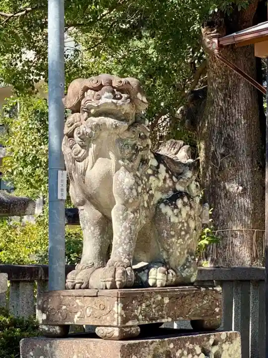 與杼神社の狛犬