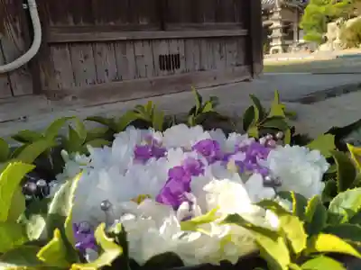 浄誓寺の手水舎