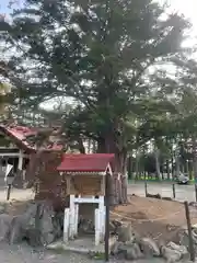 豊栄神社(北海道)