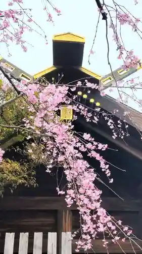 伊勢山皇大神宮の御朱印