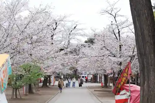 喜多院の{uncategorized: "未分類", other: "その他", undefined: "問題あり", building: "その他建物", grave: "お墓", sacred_gate: "鳥居", guardian: "狛犬", statue: "像", buddha: "仏像", history: "歴史", nature: "自然", garden: "庭園", animal: "動物", pagoda: "塔", temizu: "手水舎", mountain_gate: "山門・神門", sanctuary: "本殿・本堂", subordinate: "末社・摂社", art: "芸術", scenery: "景色", jizo: "地蔵", ema: "絵馬", goshuin: "御朱印", omikuji: "おみくじ", items: "授与品その他", amulet: "お守り", goshuincho: "御朱印帳", eats: "食事", festival: "お祭り", votive_dance: "神楽", shichigosan: "七五三参", wedding: "結婚式", experience: "体験その他", initially: "初詣", around: "周辺", anti_infection: "感染症対策"}
