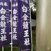 白金龍王社(愛知県)