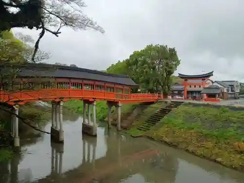 宇佐神宮(大分県)