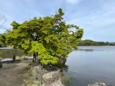 観音島(京都府)
