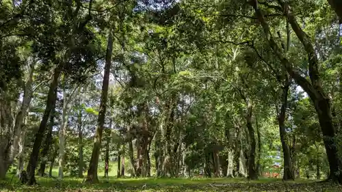宇佐宮弥勒寺跡の自然