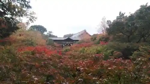 東福禅寺（東福寺）の景色