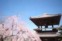 円光寺のその他建物
