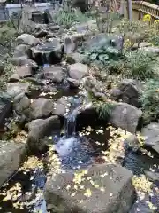 師岡熊野神社(神奈川県)