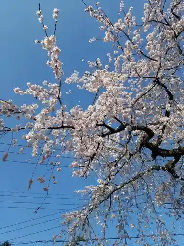 日蓮宗 総本山 塔頭 定林坊(じょうりんぼう)(山梨県)