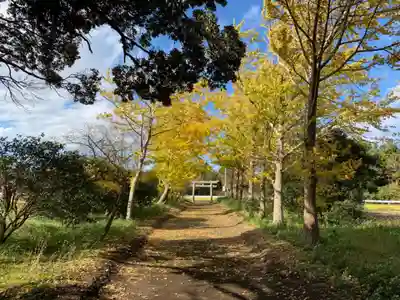 稲荷神社(千葉県)