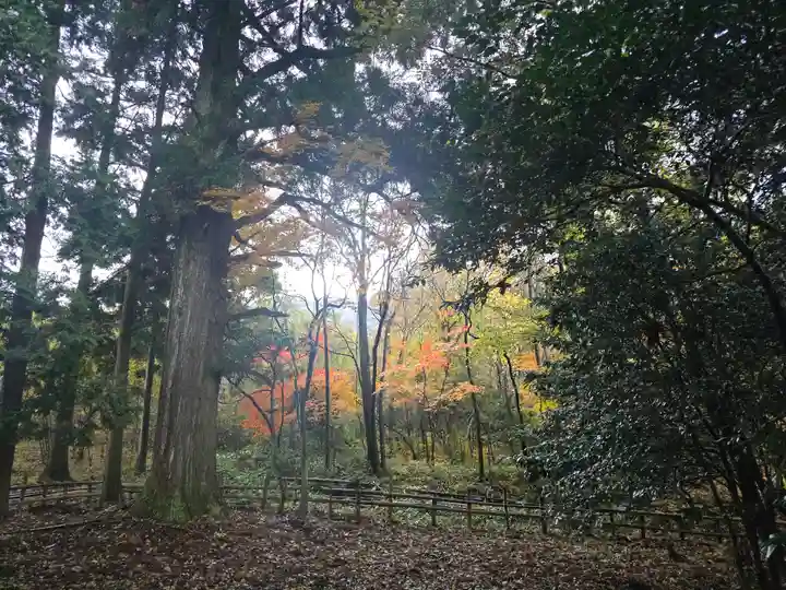 山神社 (マキノ町牧野)(滋賀県)