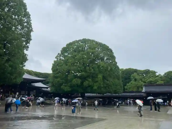 明治神宮(東京都)