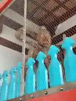 井戸寺(徳島県)