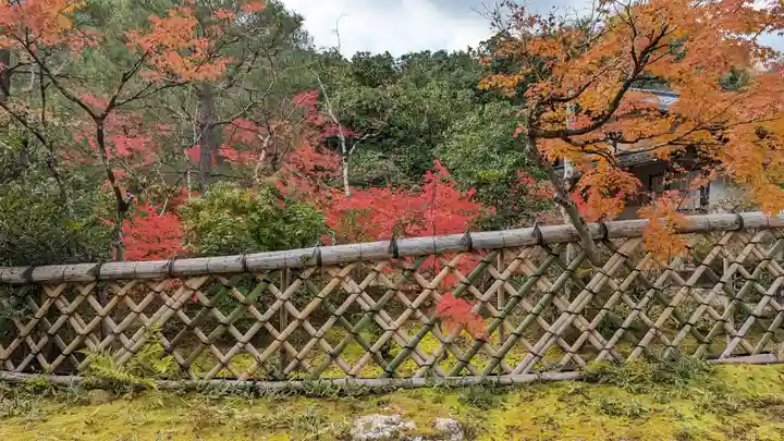 光悦寺(京都府)
