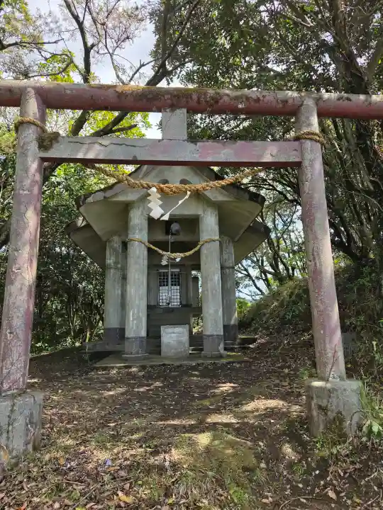 白山神社の{uncategorized: "未分類", other: "その他", undefined: "問題あり", building: "その他建物", grave: "お墓", sacred_gate: "鳥居", guardian: "狛犬", statue: "像", buddha: "仏像", history: "歴史", nature: "自然", garden: "庭園", animal: "動物", pagoda: "塔", temizu: "手水舎", mountain_gate: "山門・神門", sanctuary: "本殿・本堂", subordinate: "末社・摂社", art: "芸術", scenery: "景色", jizo: "地蔵", ema: "絵馬", goshuin: "御朱印", omikuji: "おみくじ", items: "授与品その他", amulet: "お守り", goshuincho: "御朱印帳", eats: "食事", festival: "お祭り", votive_dance: "神楽", shichigosan: "七五三参", wedding: "結婚式", experience: "体験その他", initially: "初詣", around: "周辺", anti_infection: "感染症対策"}