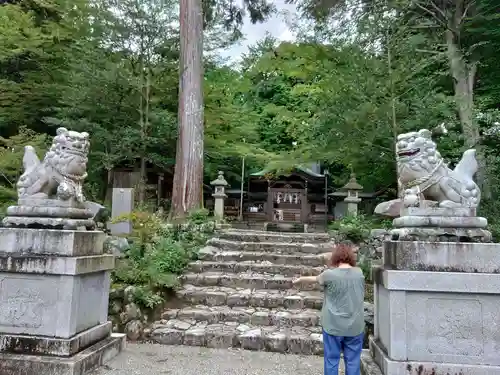 小椋神社の狛犬