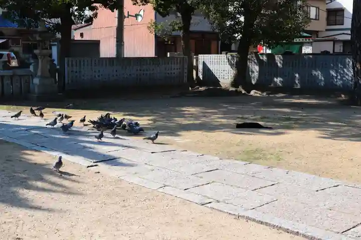 三津厳島神社の動物