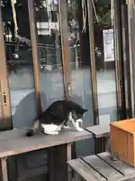 龍ケ崎八坂神社の動物