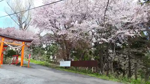 虻田神社の自然