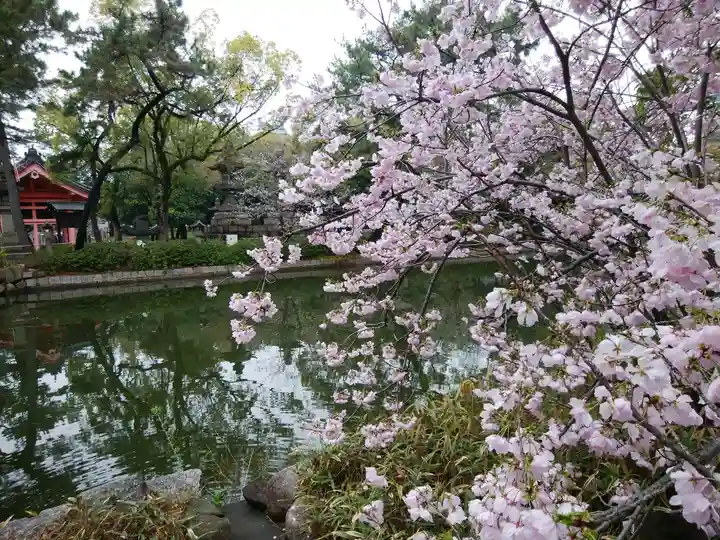 住吉大社(大阪府)