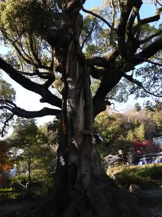 静岡浅間神社(静岡県)
