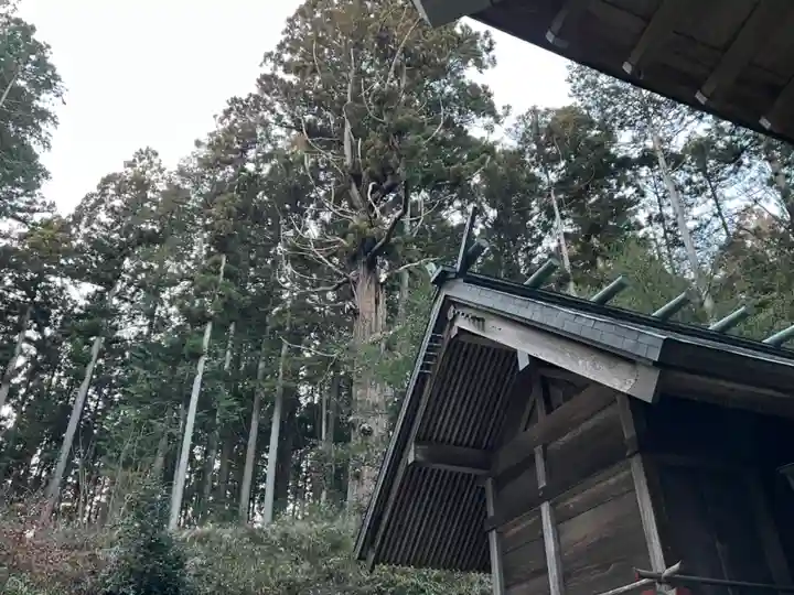 大宮温泉神社の本殿・本堂