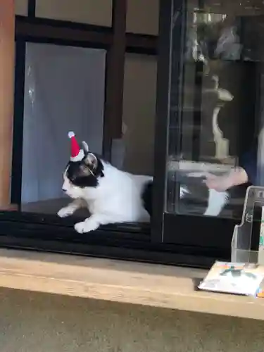 御霊神社(神奈川県)