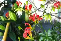 三津厳島神社(愛媛県)