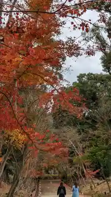醍醐寺(京都府)