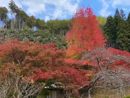 高蔵寺(兵庫県)