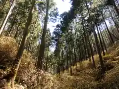 焼森山雷神神社の景色