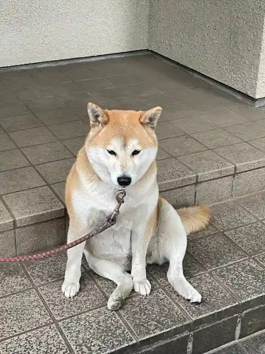 笠䅣稲荷神社(神奈川県)