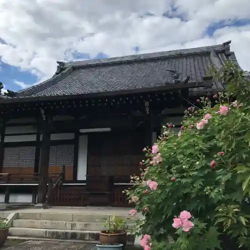 本満寺（本願満足寺）の本殿・本堂