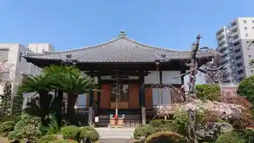 善明寺の本殿・本堂