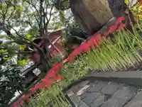 法栄寺(千葉県)