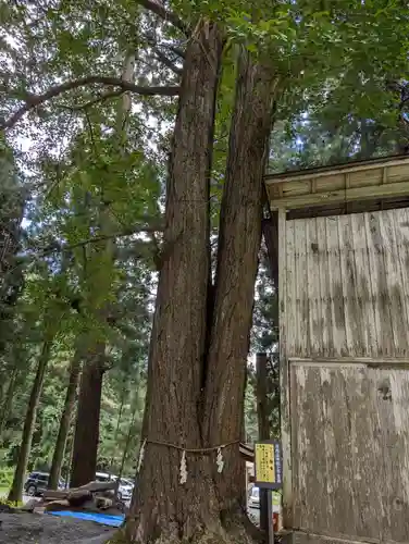 丹内山神社(岩手県)
