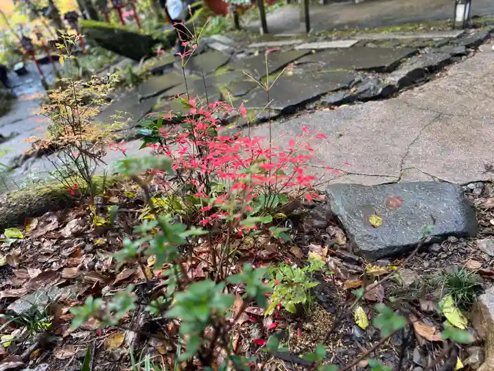 貴船神社結社(京都府)