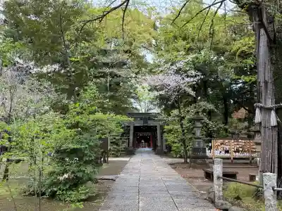 赤坂氷川神社(東京都)