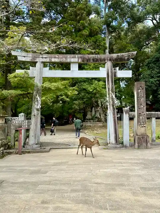 手向山八幡宮の鳥居