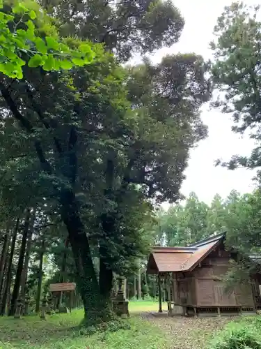 近津神社の本殿・本堂