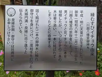 川越八幡宮(埼玉県)