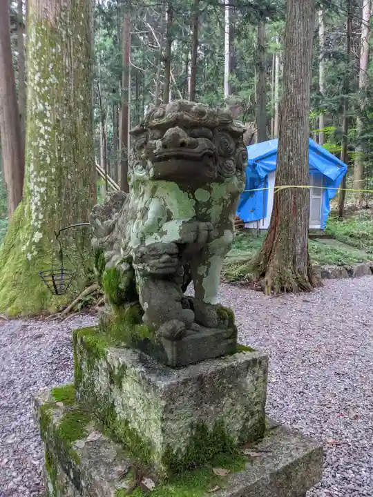 根道神社の狛犬
