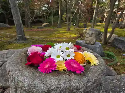 勝林寺(京都府)